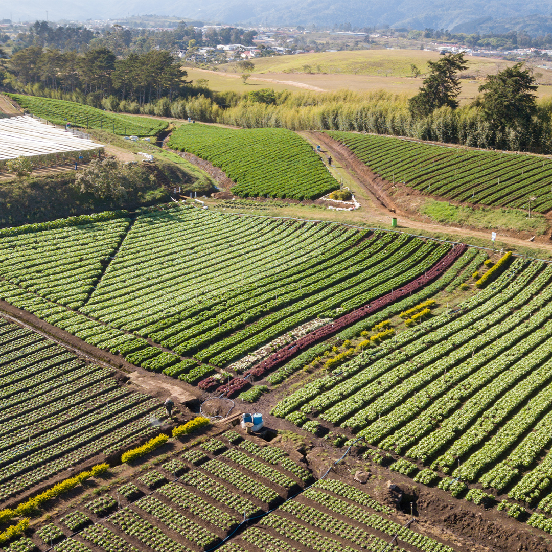 Sobre Asoagro